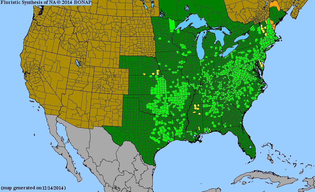 County distribution map of Spiranthes lacera var. gracilis - Northern Slender Ladies'-Tresses